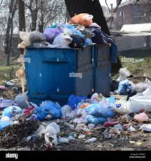 Best Dumpster Rental Services  in Homer, IL